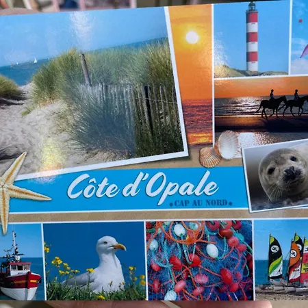 Sur Cosy A 50 Metres De La